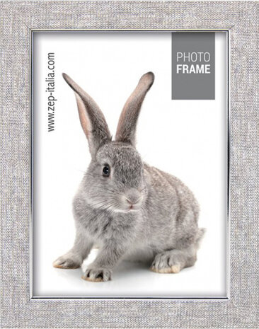 fotolijst Doneck 20 x 30 cm glas zilver