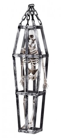 Skelet in kooi 50 cm