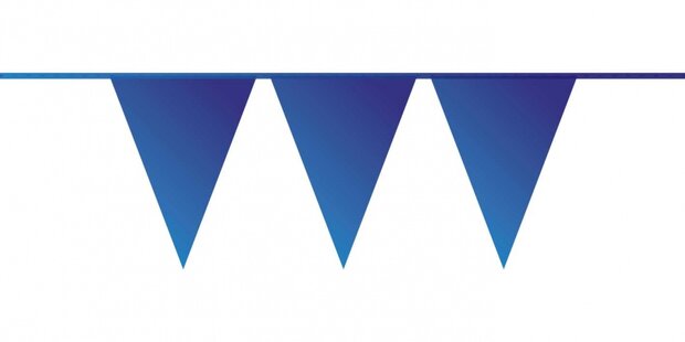 vlaggenlijn donkerblauw 10 meter