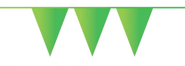 vlaggenlijn lichtgroen 10 meter