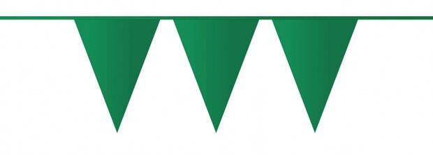 vlaggenlijn groen 10 meter