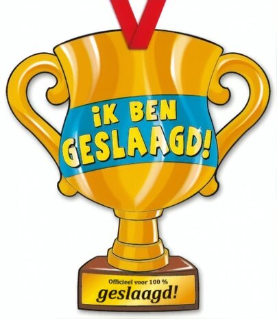 trofee ik ben geslaagd! 33 cm karton goud