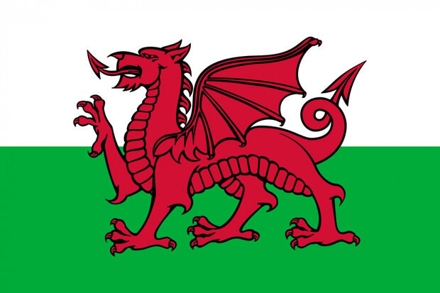 landsvlag Wales 150 cm polyester groen/wit/rood