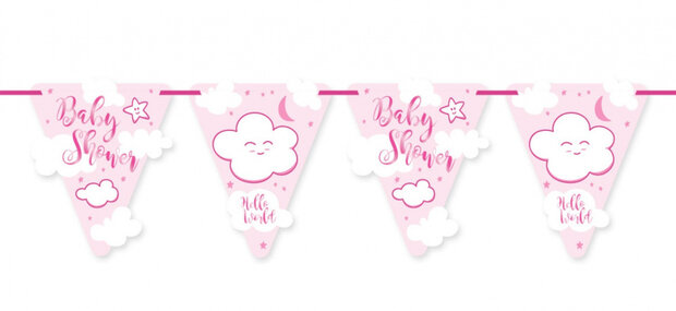 vlaggenlijn babyshower meisjes 6 meter karton roze