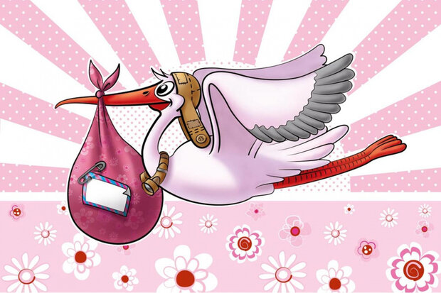 raamvlag It&#039;s a girl! 60 x 90 cm polyester roze/wit