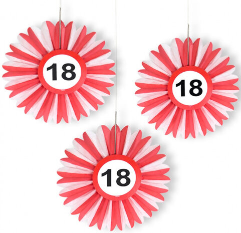 waaier Verkeersbord 18 jaar 21,5 x 12,5 cm papier rood/wit