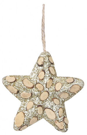 ornament ster 16 cm hout/polyester goud/bruin