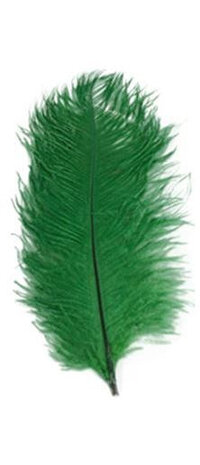 struisveer 28-32 cm groen