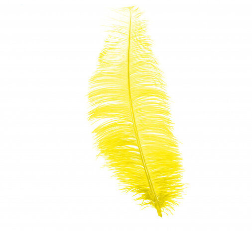 hoofdband struisvogel veren 30 cm geel