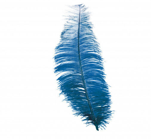 hoofdband struisvogel veren 30 cm blauw