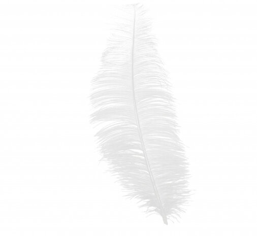 hoofdband struisvogel veren 30 cm wit