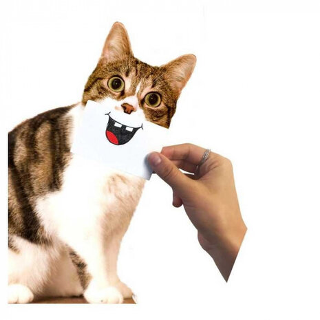 foto-props Cat Snaps 17,5 cm papier wit