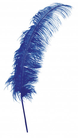 struisvogelveer 50 cm veren blauw
