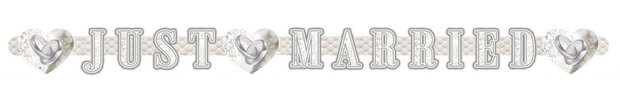 letterslinger Just Married Ringen 2 m karton zilver