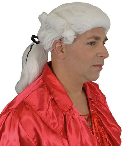pruik Mozart heren synthetisch wit/zwart
