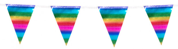 vlaggenlijn Mini Metallic Regenboog 3 meter