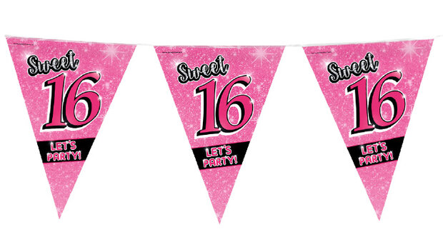 vlaggenlijn Sweet 16 meisjes 10 meter roze