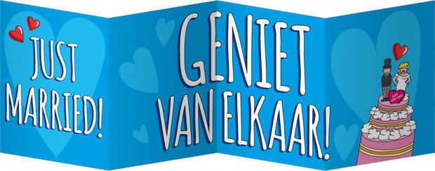 wenskaart Just married! 16 x 12,5 cm karton blauw