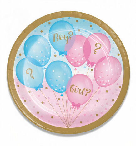 bordjes gender reveal 18 cm karton roze/blauw 8 stuks