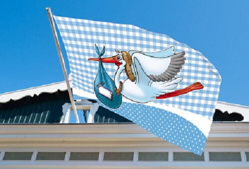 raamvlag geboorte jongen 90 x 60 cm polyester blauw/wit