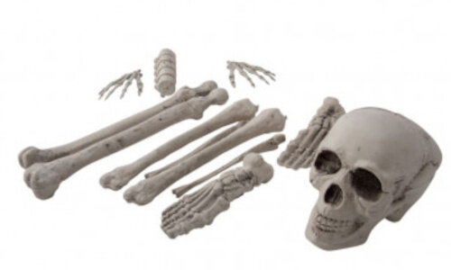 feestdecoratie skeletbotten wit 12-delig