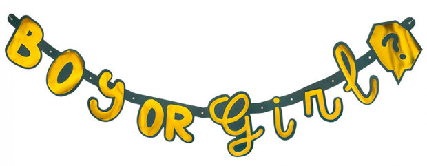 letterslinger Boy or Girl 130 cm karton geel