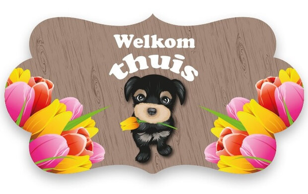 huldeschild Welkom Thuis 42 x 22 cm karton bruin
