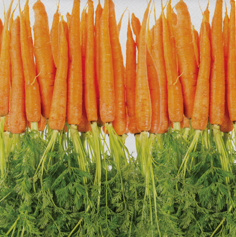 servetten Groenten 33 x 33 cm groen 12 stuks