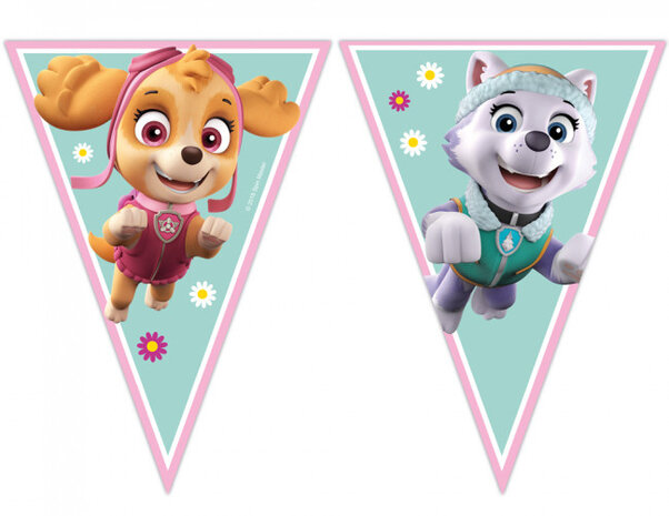 vlaggenlijn Paw Patrol junior 230 cm papier groen/roze