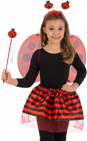 verkleedset lieveheersbeestje rood/zwart one-size