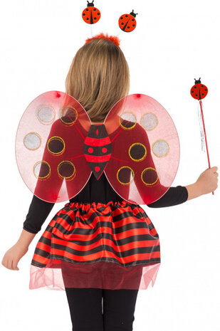 verkleedset lieveheersbeestje rood/zwart one-size