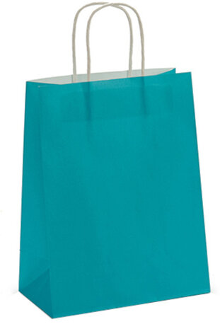 geschenktas 21 x 11 x 36 cm papier blauw 2 stuks