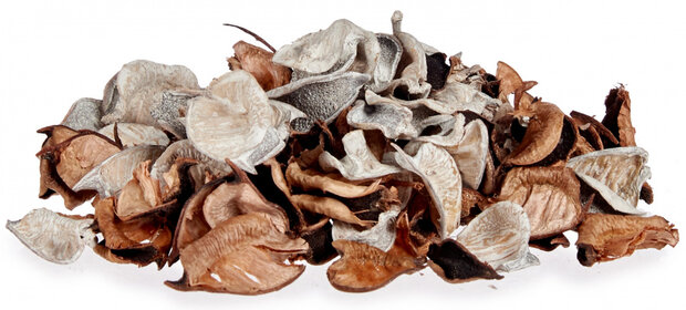 vaasdecoratie bladeren hout bruin/wit