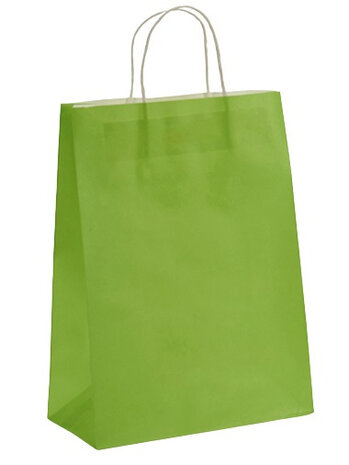 cadeautas 43 x 25,5 cm papier groen 2 stuks