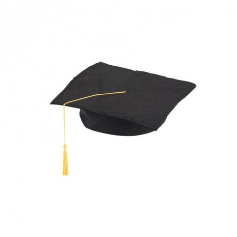 hoed geslaagd polyester zwart one-size