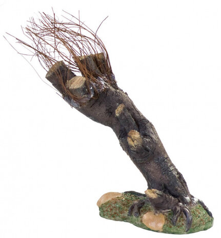 knotwilg schuin dik 12 cm bruin