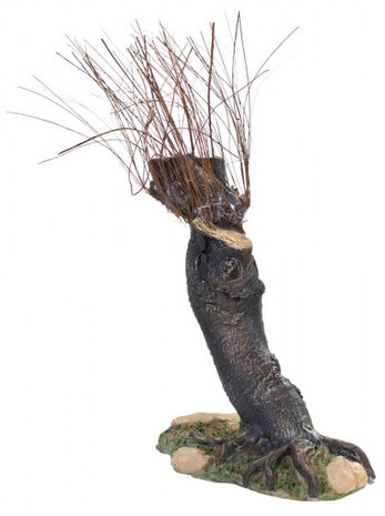 knotwilg schuin dun 12 cm bruin