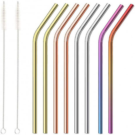 rietjes herbruikbaar 25 cm staal 10-delig