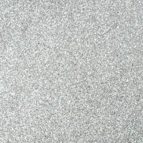 vlaggenlijn Glitter 6 meter 30 x 20 cm papier zilver