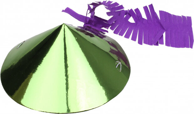 feesthoedje 5 x 14 cm karton groen/paars