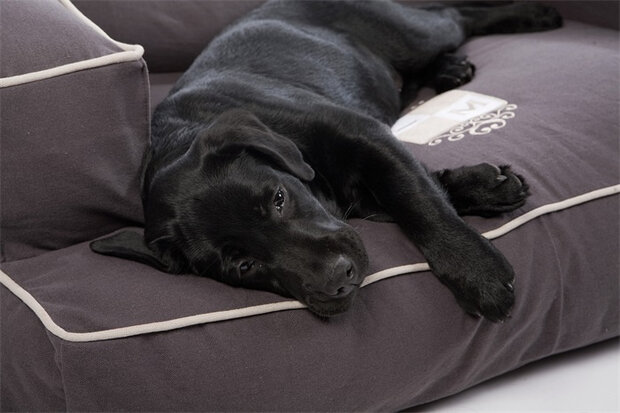 sofahoes honden New Classic 100 x 70 x 35 cm grijs