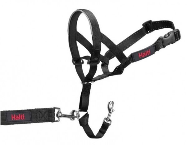 opvoedingshalsband Headcollor 35-48 cm nylon zwart