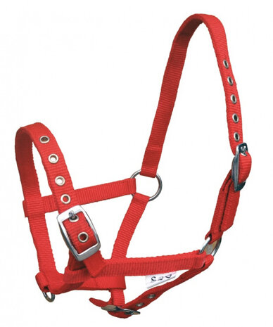 halster Standard Veulen verstelbaar nylon rood
