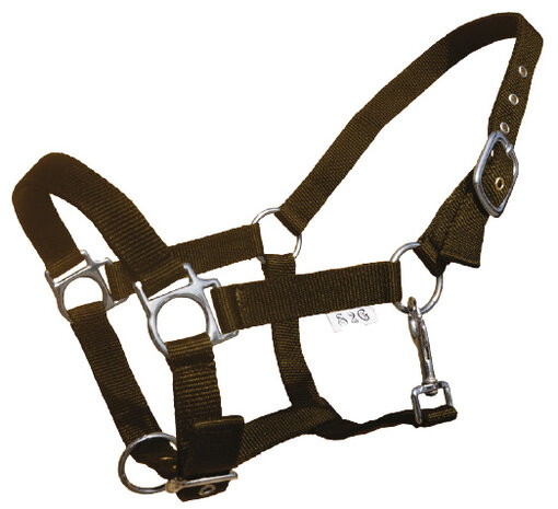 halster Standard haflinger verstelbaar nylon bruin