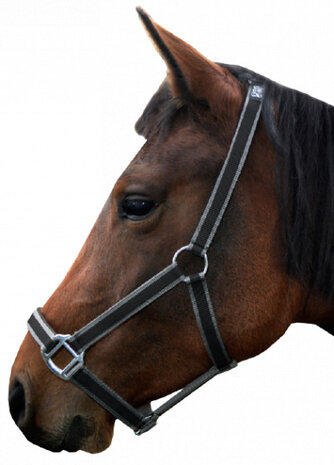halster Standard pony verstelbaar nylon zwart/zilvergrijs