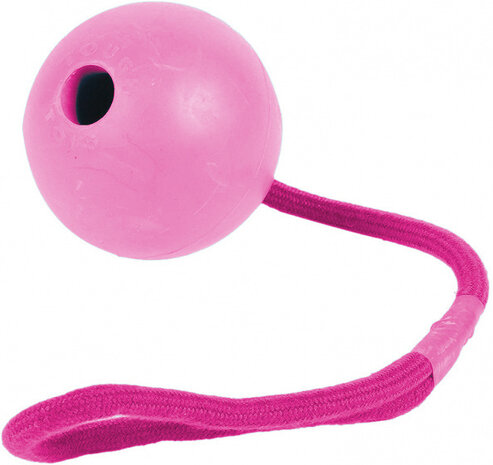 hondentrektouw Floaters 37,5 x 5 cm rubber roze