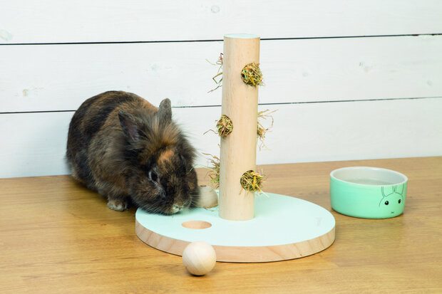 speeltoren 30 cm hout lichtbruin/mintgroen
