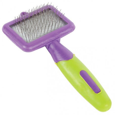 knaagdierborstel 12 x 6 x 2 cm paars/groen