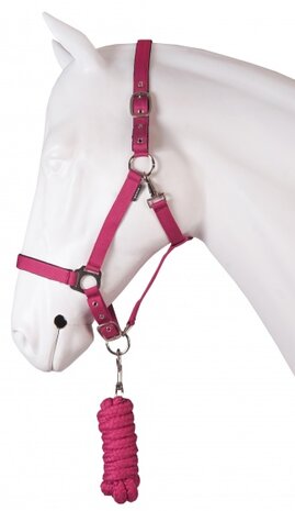 halsterset Dime roze maat cob
