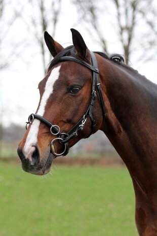 hoofdstel Kaptoom leer 50/62 cm zwart/zilver (pony)